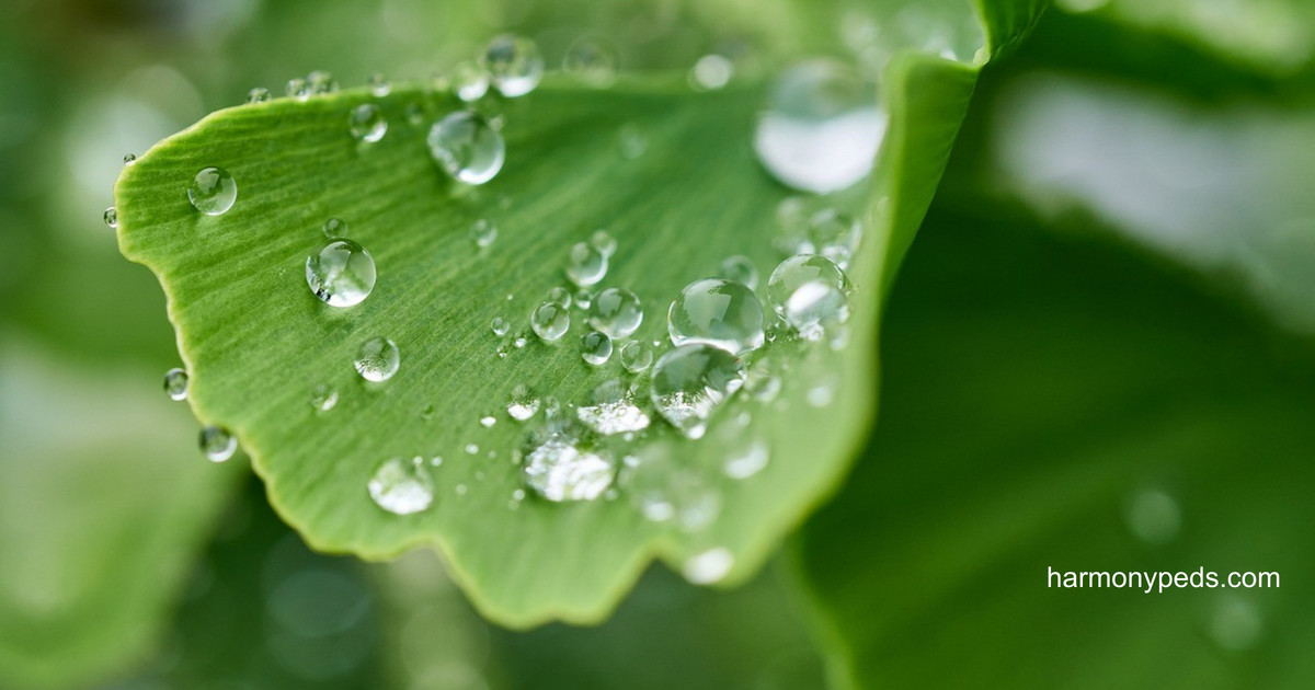 a green leaf with drops of water on it.